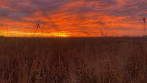 Sunrise landscape