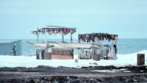 Rows of meat on racks built above small buildings along the coast