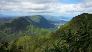 Dense plant life covering mountains above a coastal city