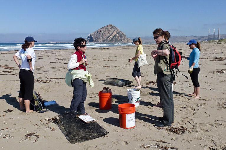 Volunteers at Coastal Cleanup Day