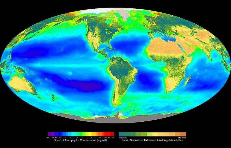 Map of Earth with high productivity in high latitudes, off continents, and along parts of the equator.