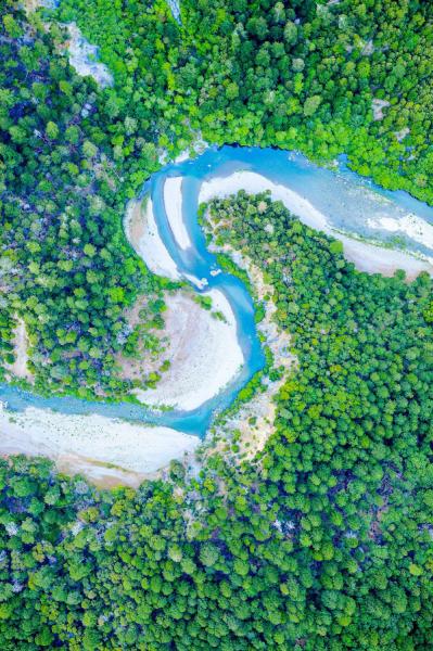 Aerial view of a blue winding river among straight, tall trees