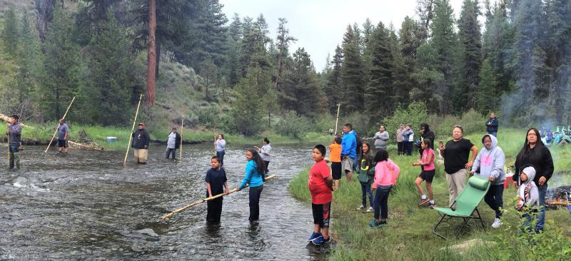 People standing in a river with poles