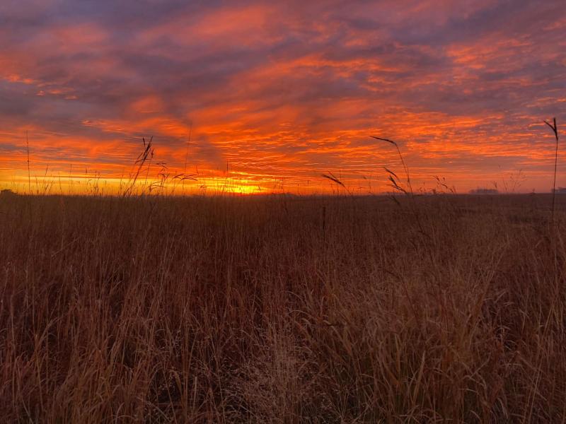 Sunrise landscape