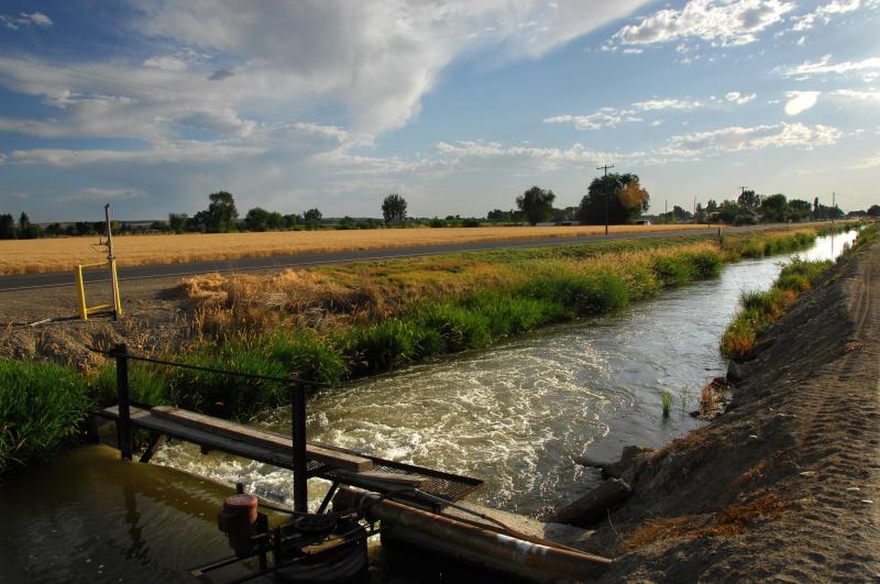 An irrigation canal in the foreground and fields and clouds in the background