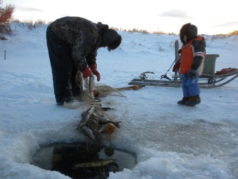 Photo of a boy and grandfather seine fishing