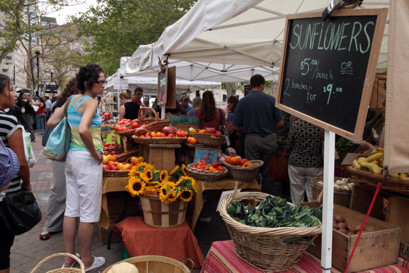 Copley Square Farmers Market