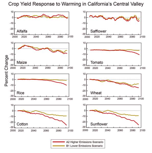 Graphs Depicting Crop Yield Response to Warming in California's Central Valley