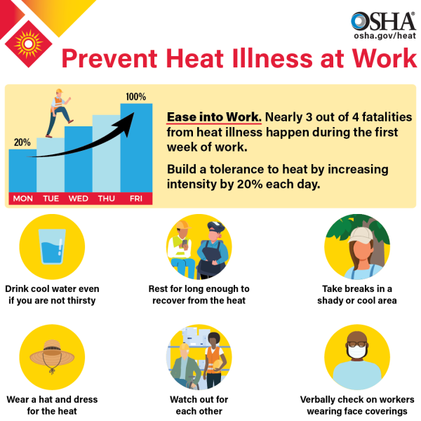 Prevent Heat Illness at Work Infographic (English) Infographic showing ways to prevent heat illness at work