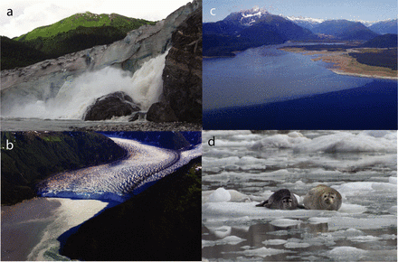Montage of glacial environments