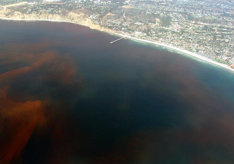 Aerial view of red tide off La Jolla, California
