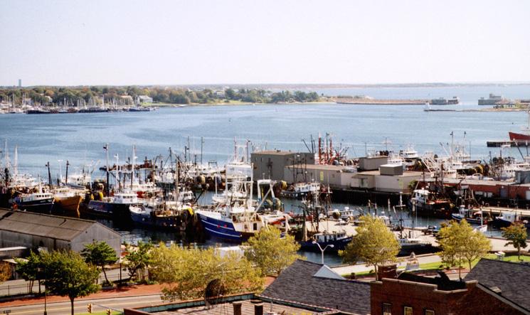 Aerial view of harbor with ships