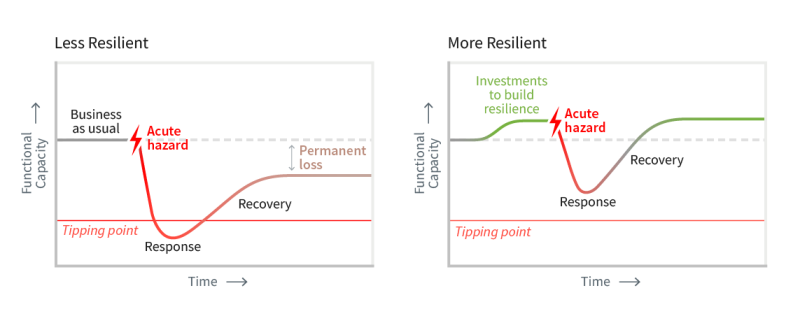 Graphs showing functional capacity over time for two levels of resilience