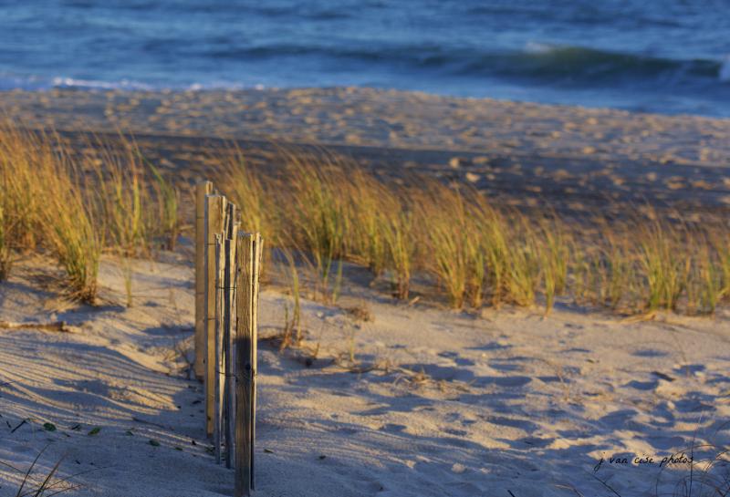 Fence in beach sand