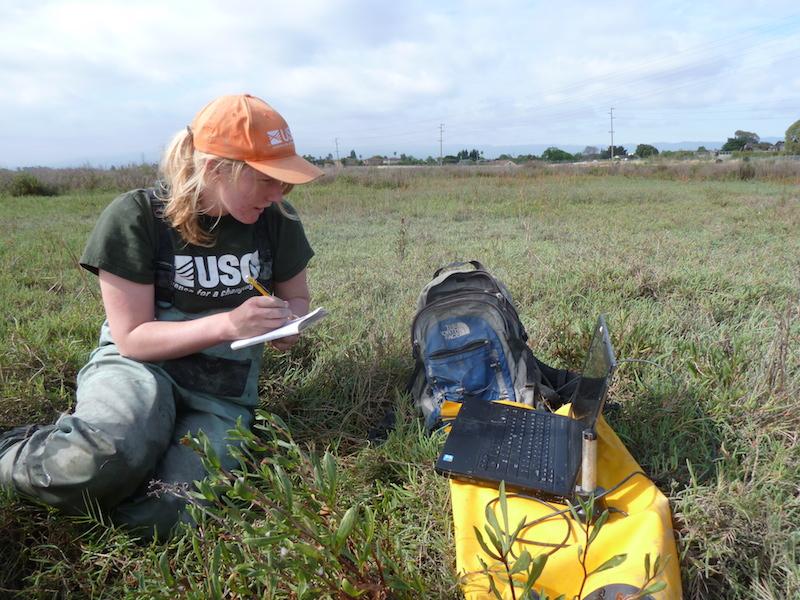 Photo of USGS technician in marsh ecosystem