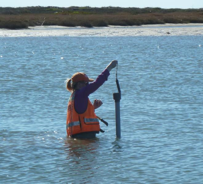 Photo of a technician waist-deep in water
