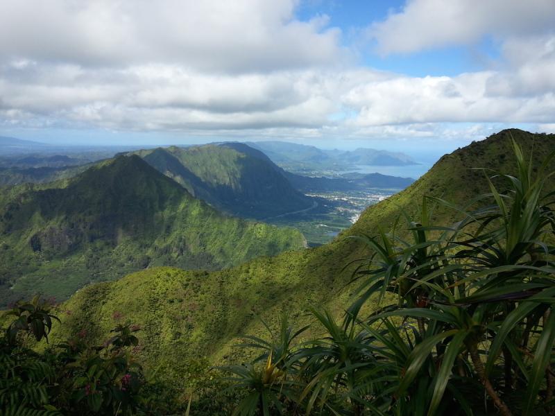 Dense plant life covering mountains above a coastal city