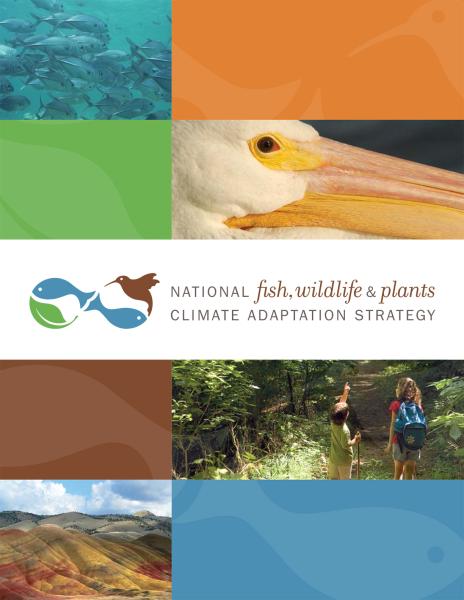 Cover of the National Fish, Wildlife, and Plants Climate Adaptation Strategy report Cover of the National Fish, Wildlife, and Plants Climate Adaptation Strategy report