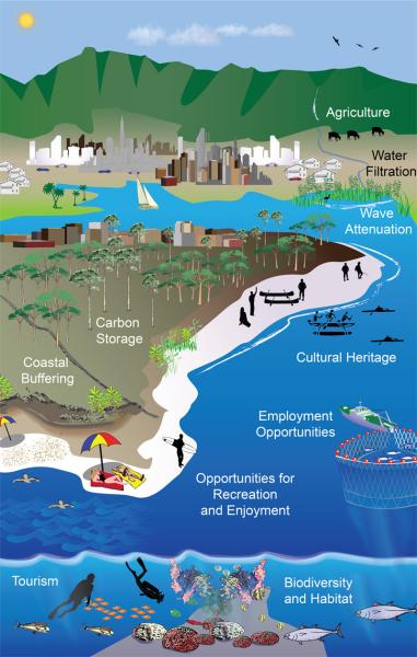 Illustration Depicting Ecosystem Services