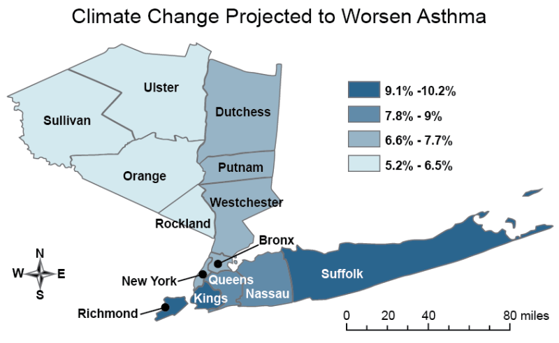 Map Showing  Estimated Increase in Ozone-Related Emergency Room Visits for Children in New York