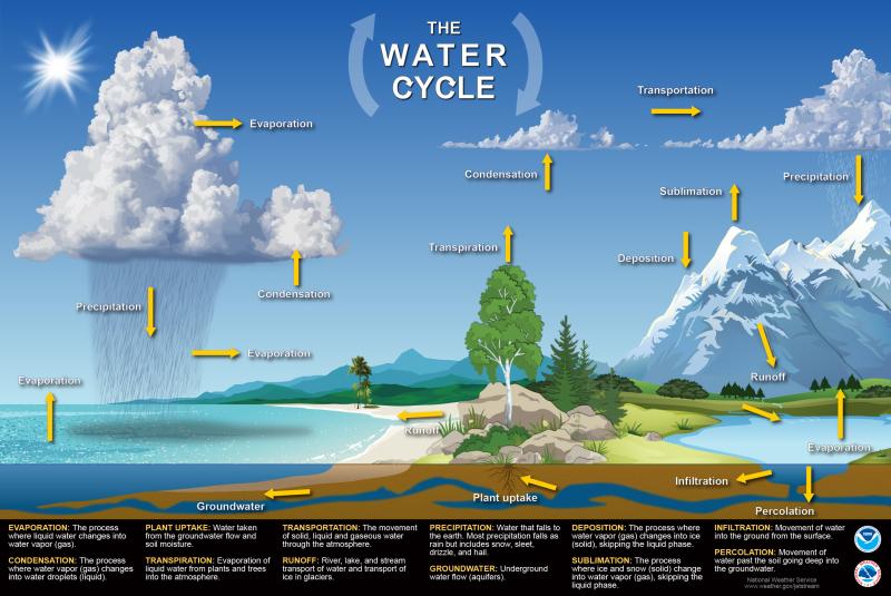 Water Cycle Diagram