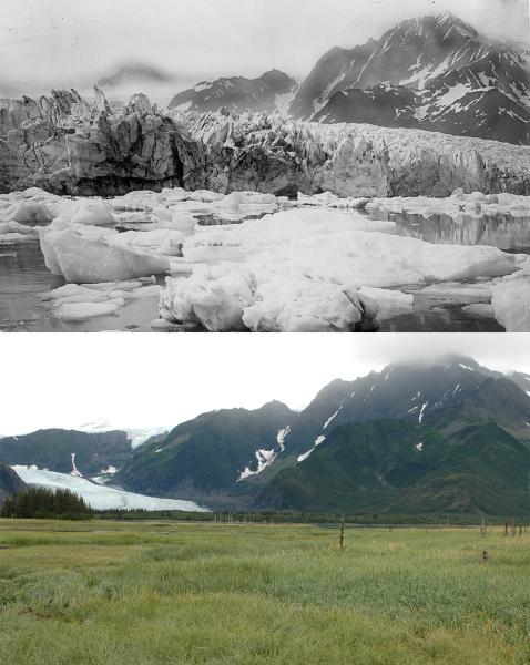 Mountains with abundant ice on top. Same mountains with grassy filed on bottom.